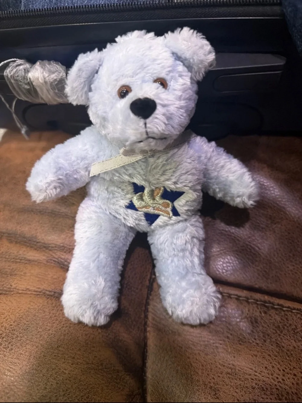 Plush Light Blue Star Bear Soft Toy